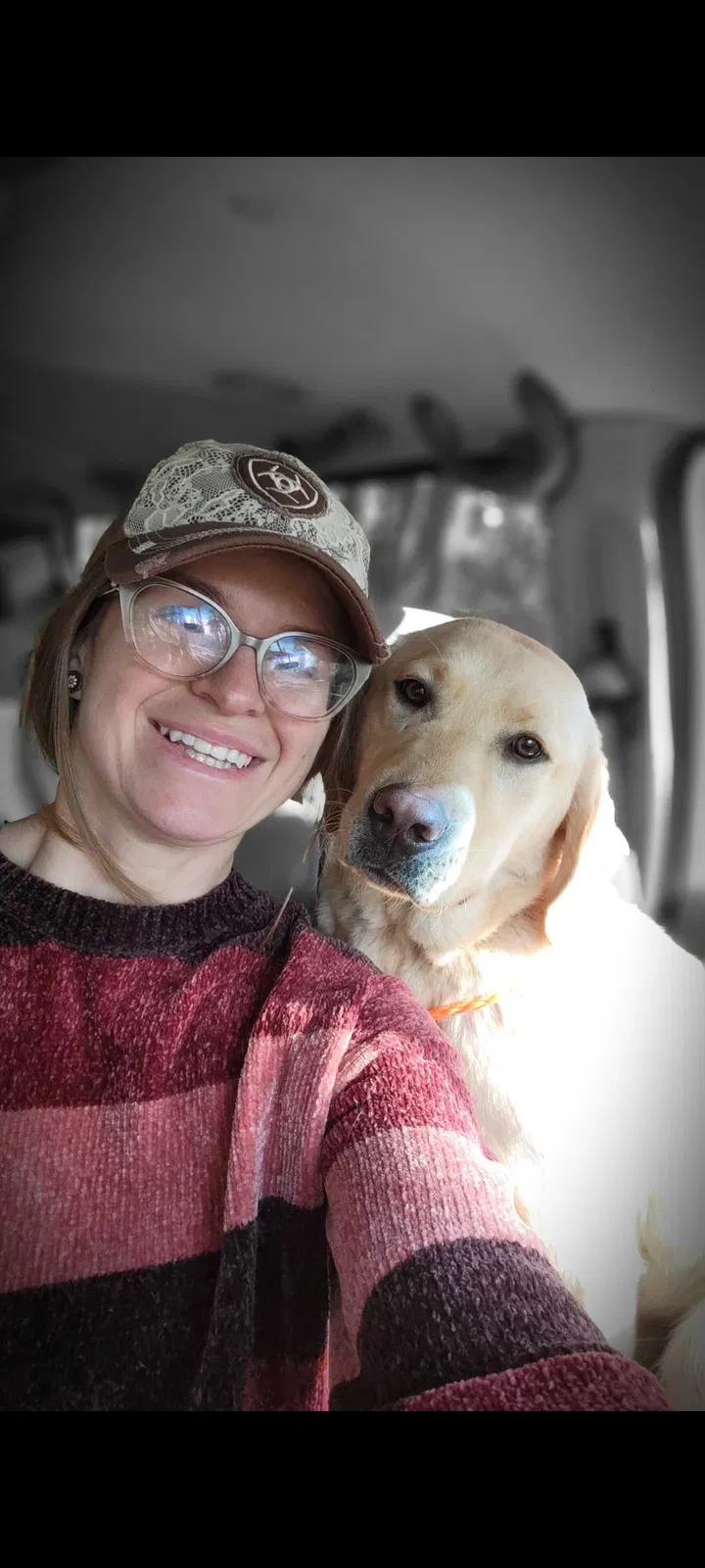 Lost dog in Grass Valley, CA, 95949