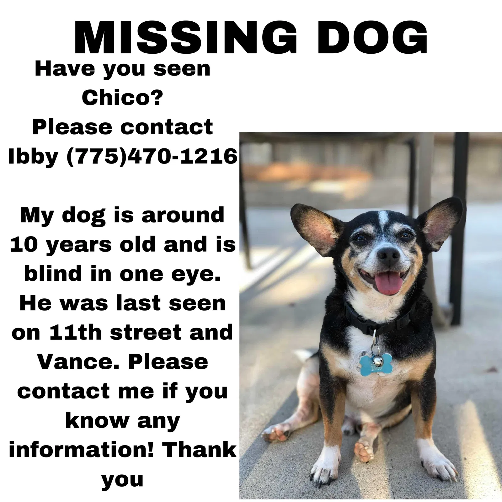 Lost dog in Sparks, NV, 89431