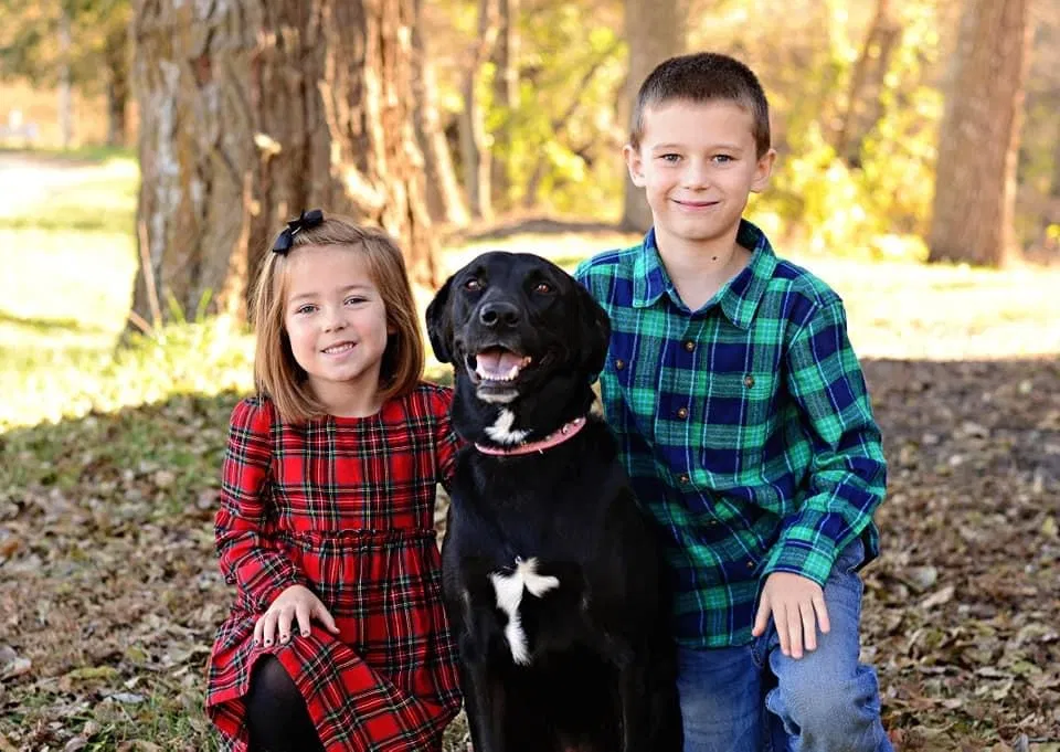 Lost dog in Rose Hill, KS, 67133