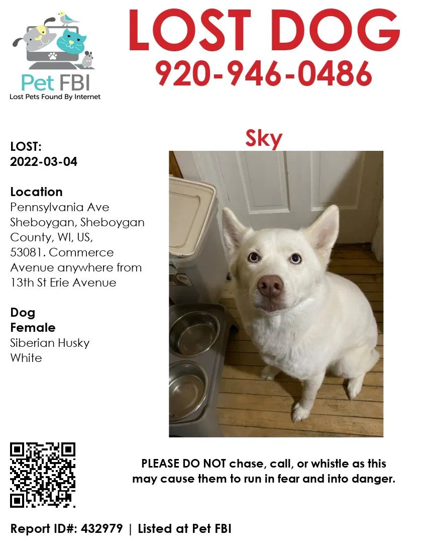Lost dog in Sheboygan, WI, 53081