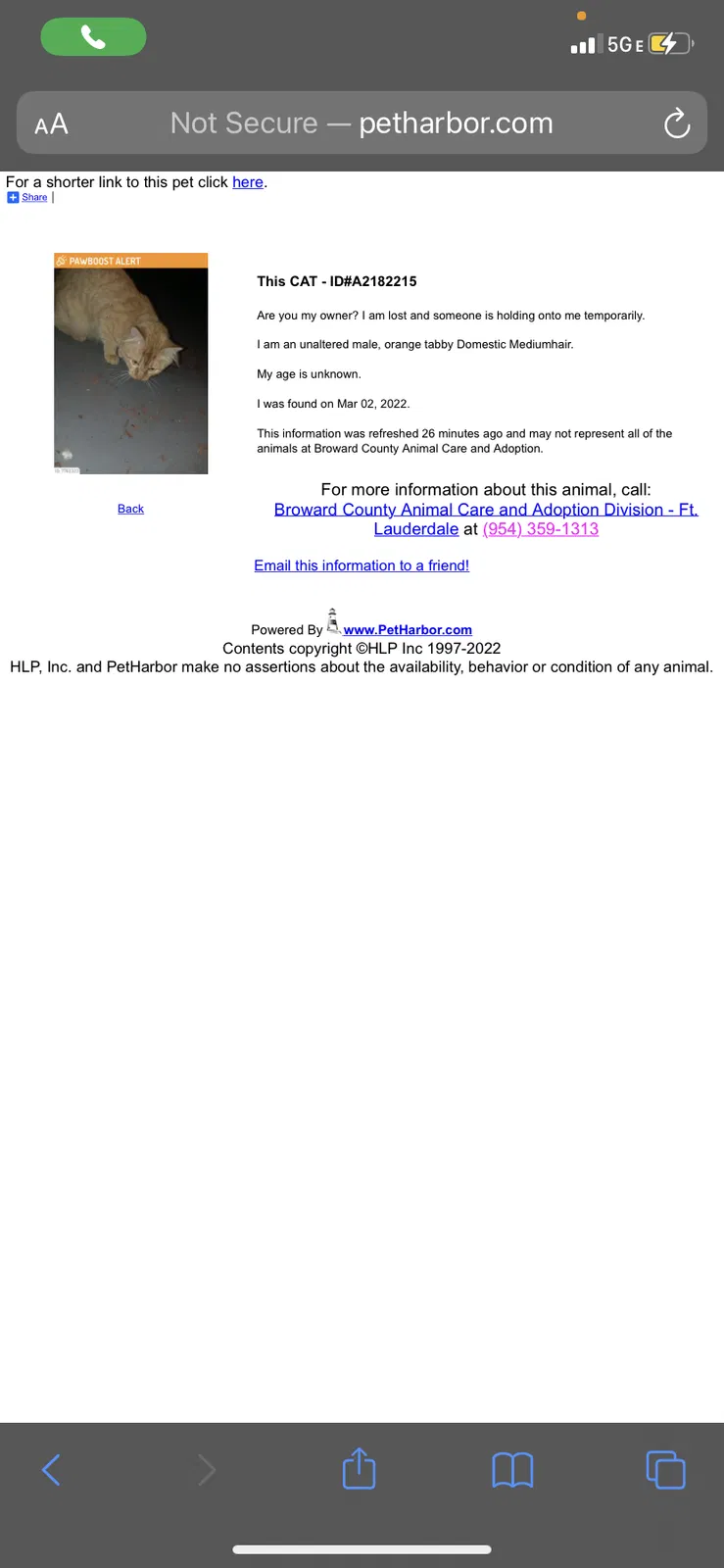 Lost cat in Pompano Beach, FL, 33068