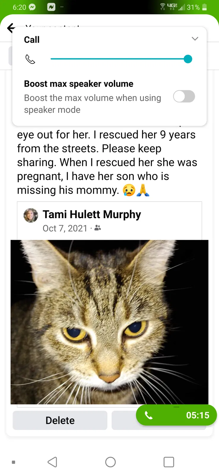 Lost cat in San Jacinto, CA, 92583