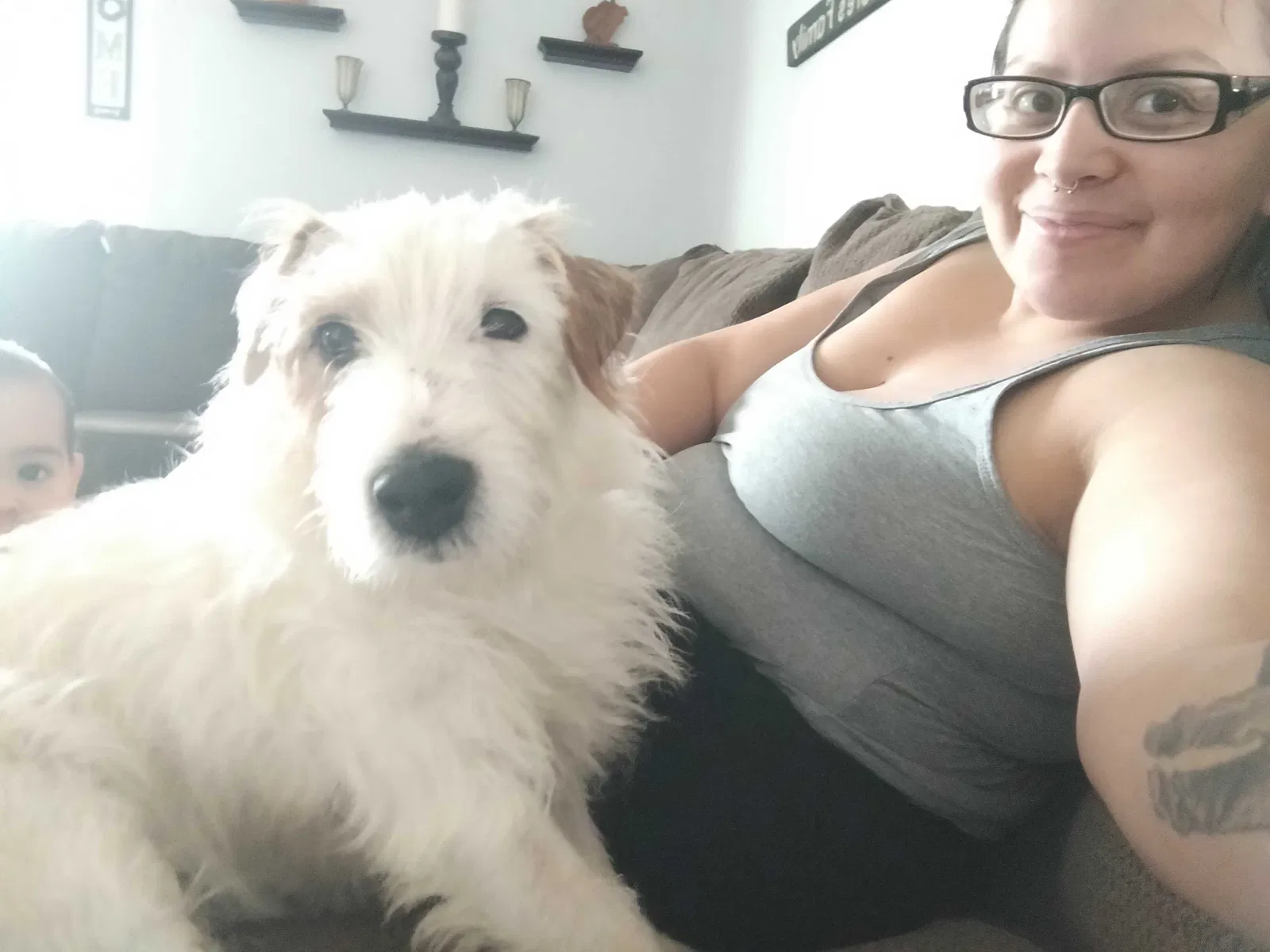 Lost dog in Bakersfield, CA, 93307