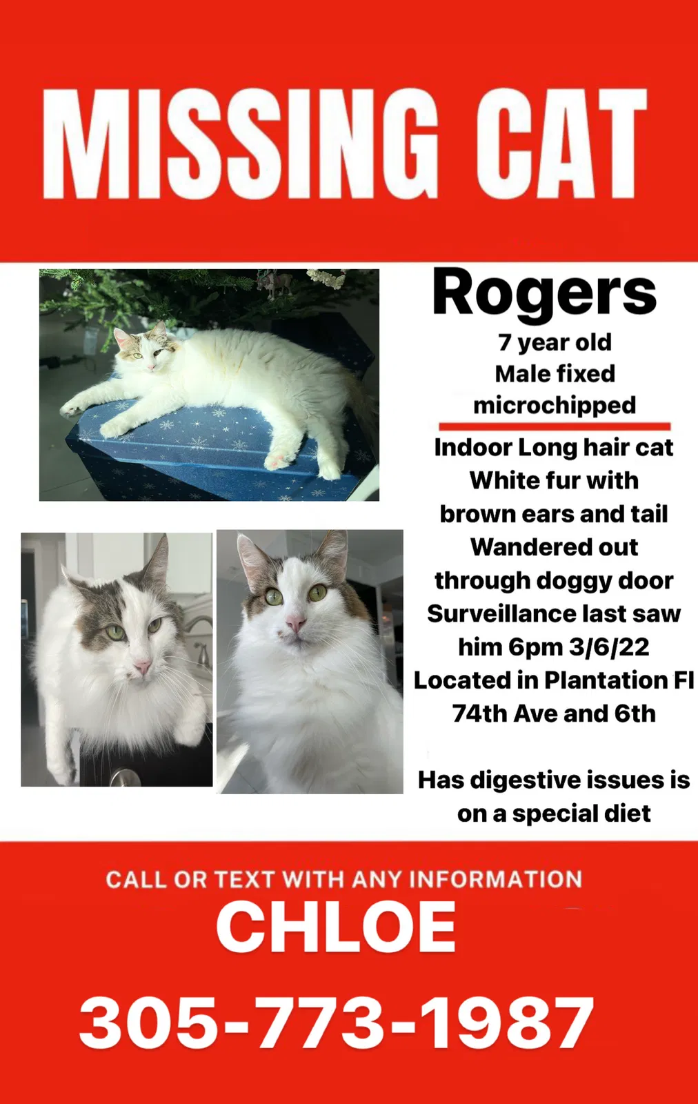 Lost cat in Fort Lauderdale, FL, 33317