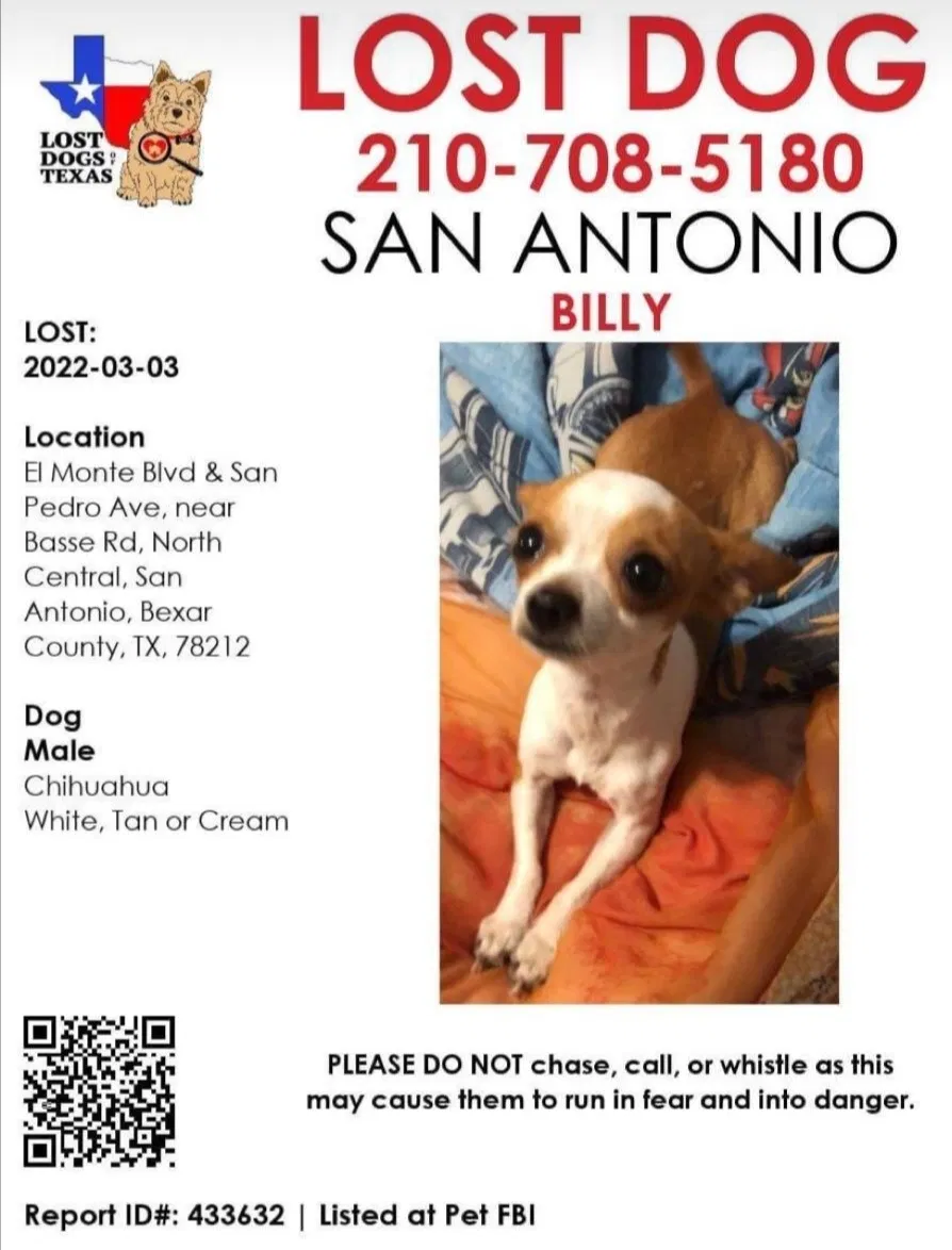 Lost dog in San Antonio, TX, 78212