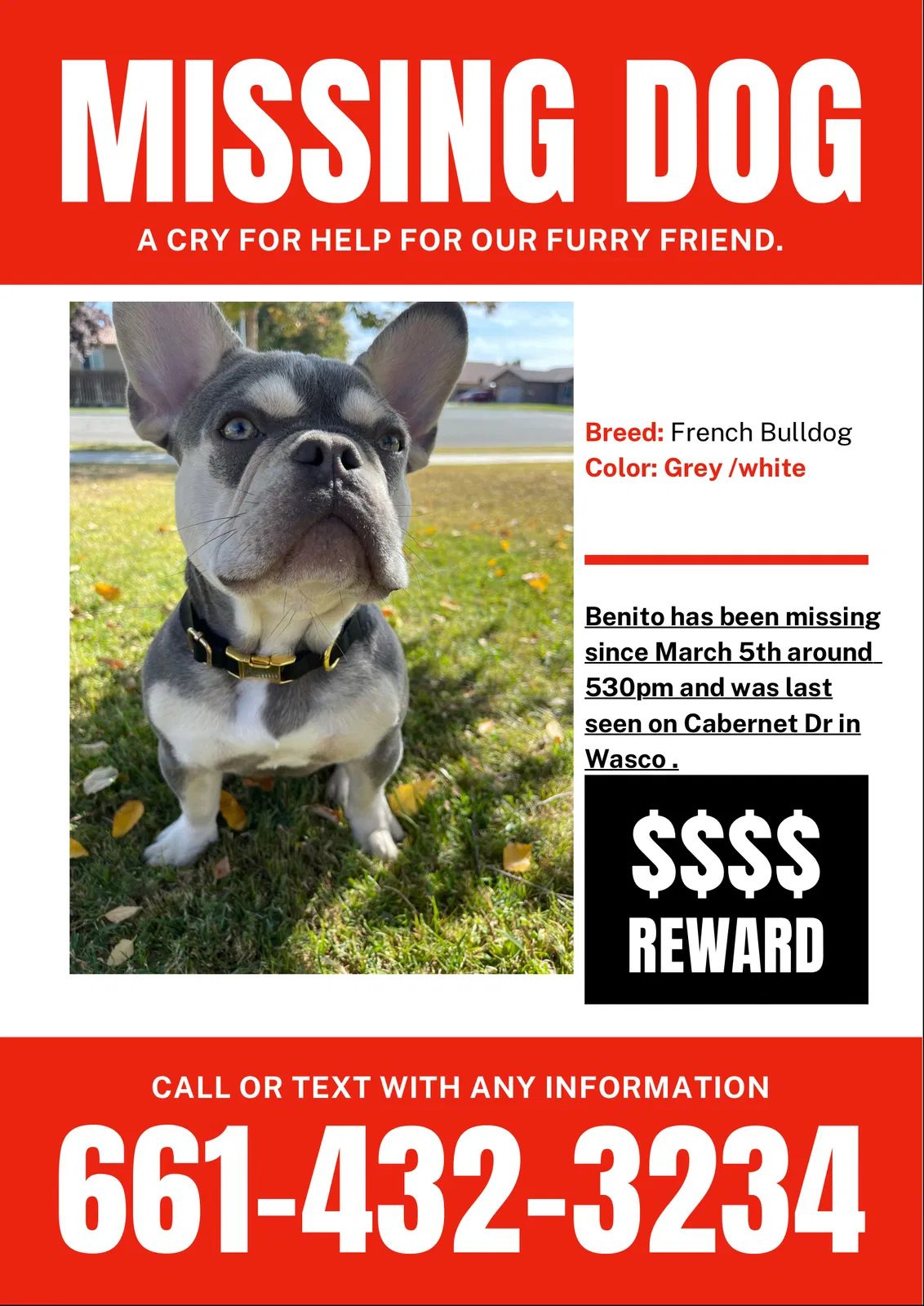 Lost dog in Wasco, CA, 93280