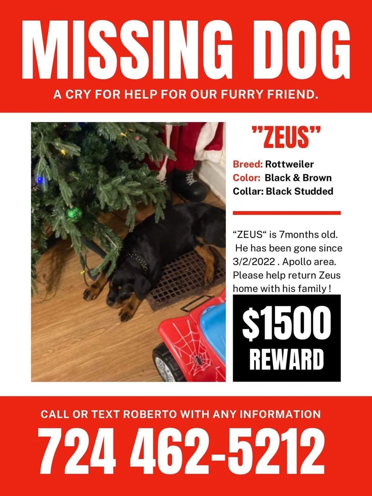 Lost dog in Apollo, PA, 15613