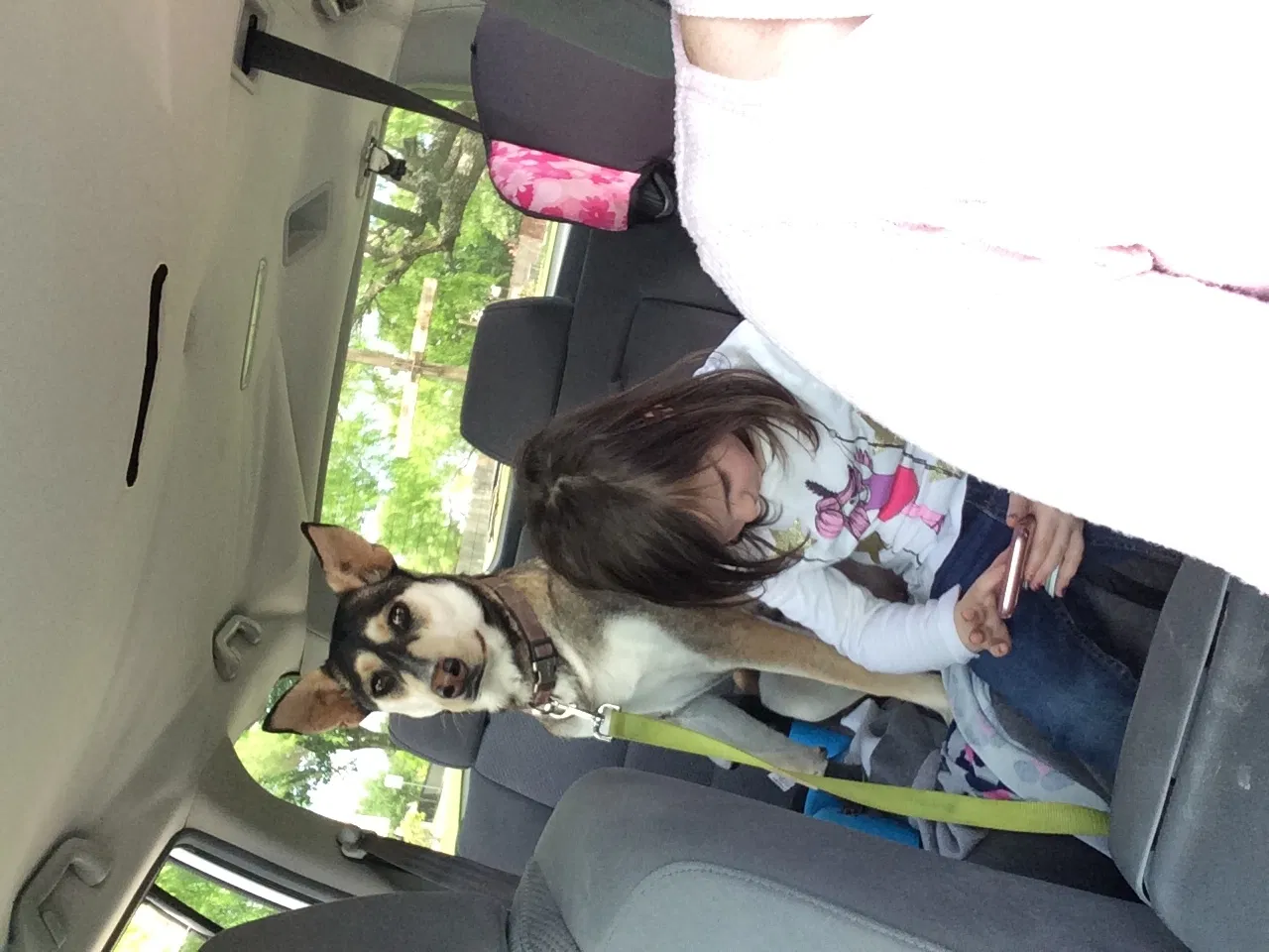 Lost dog in San Antonio, TX, 78247
