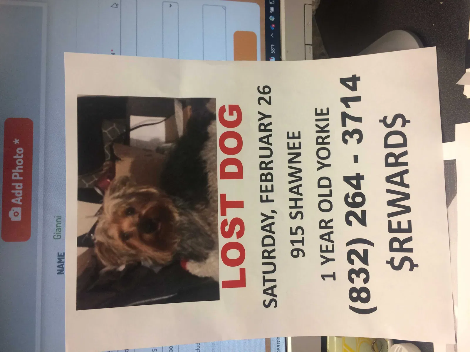 Lost dog in Houston, TX, 77034