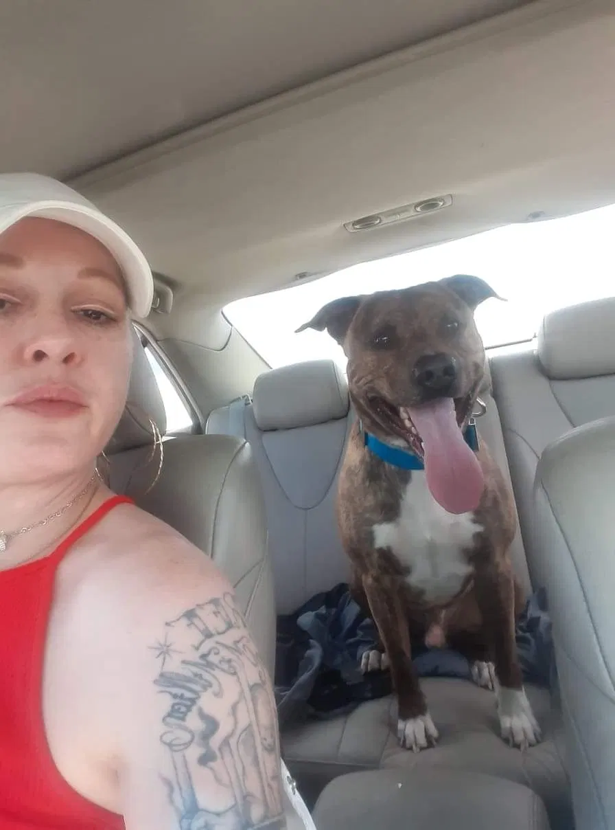 Lost dog in Box Springs, GA, 31801