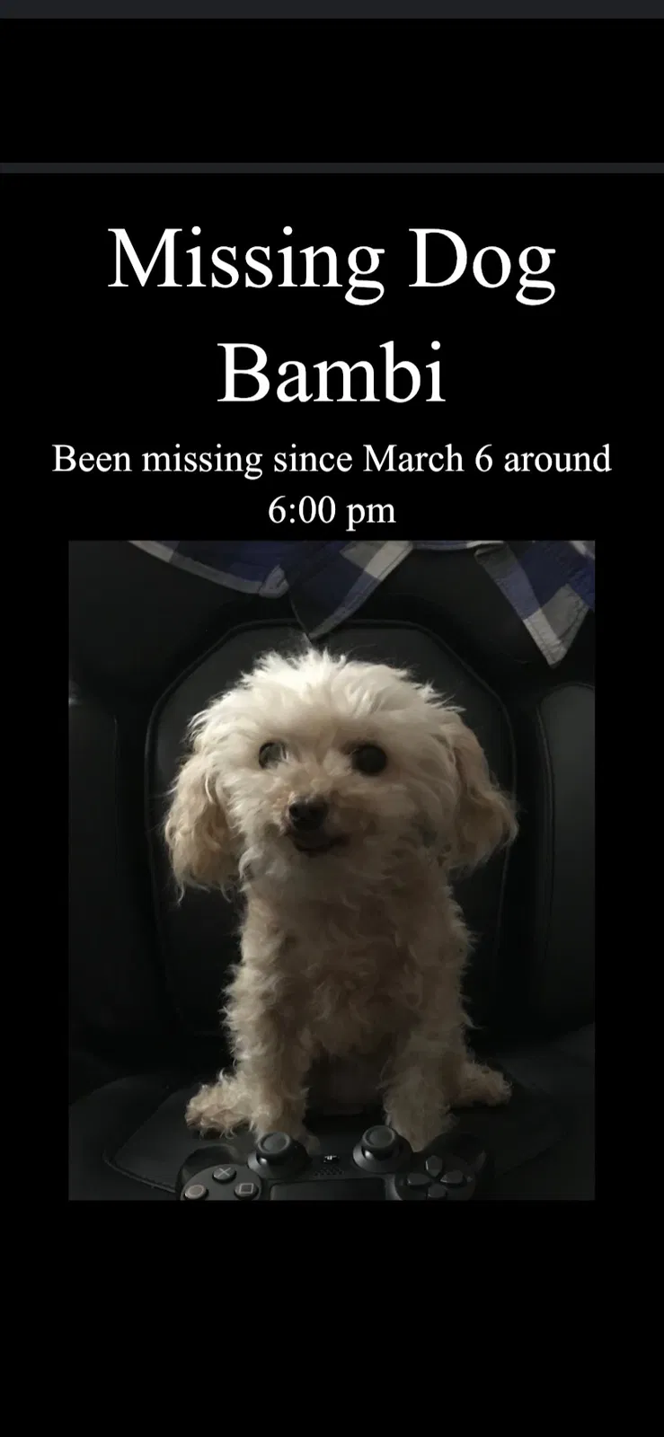 Lost dog in Pomona, CA, 91766