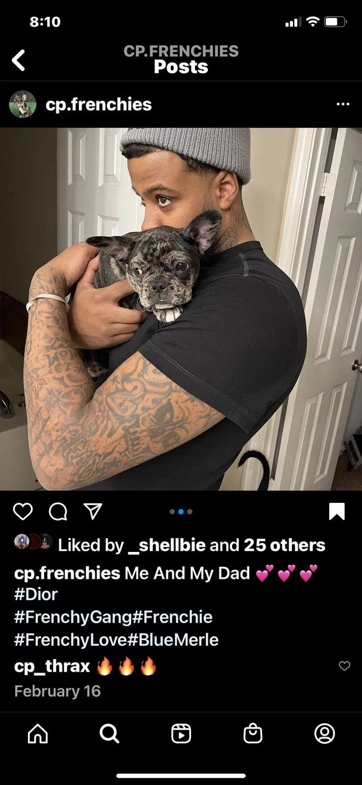 Lost dog in Fairburn, GA, 30213