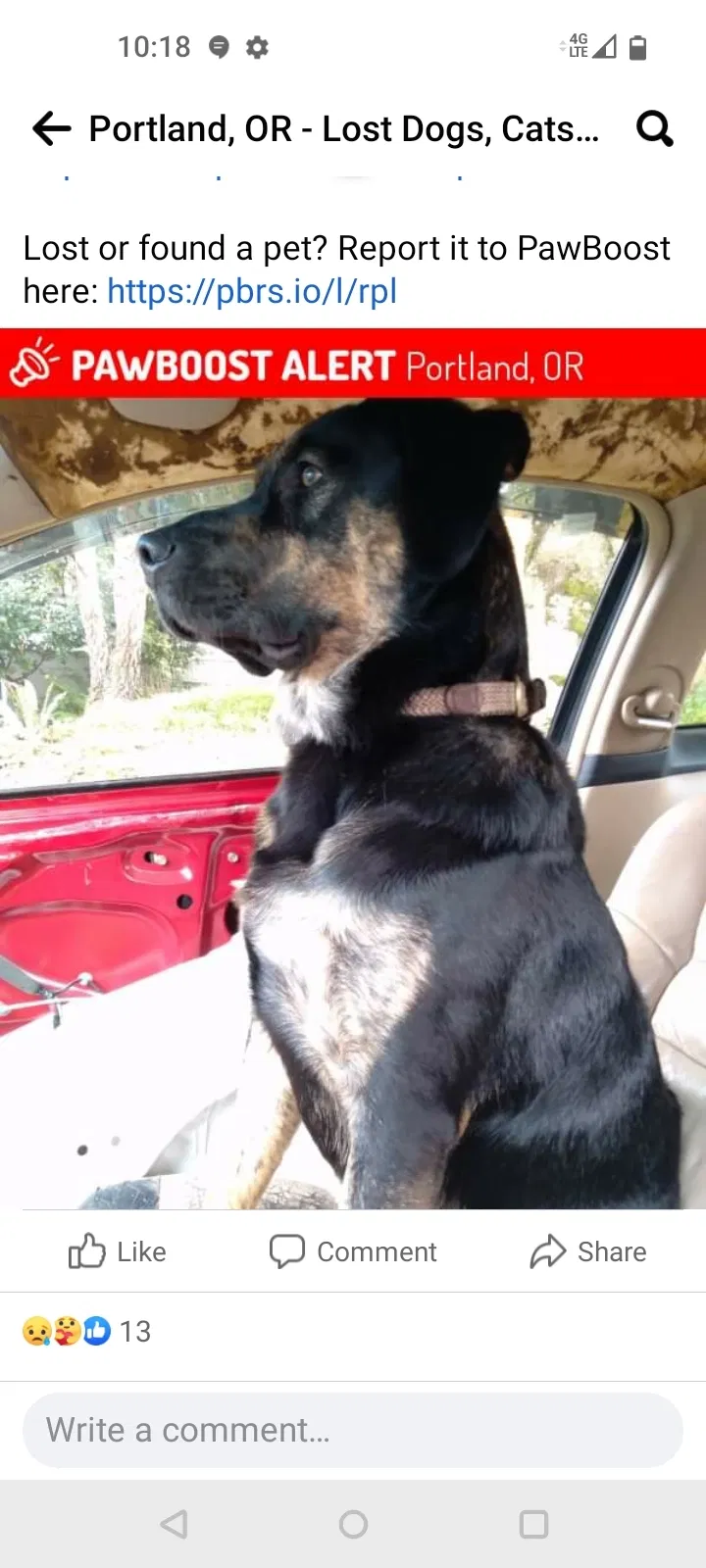 Lost dog in Portland, OR, 97233