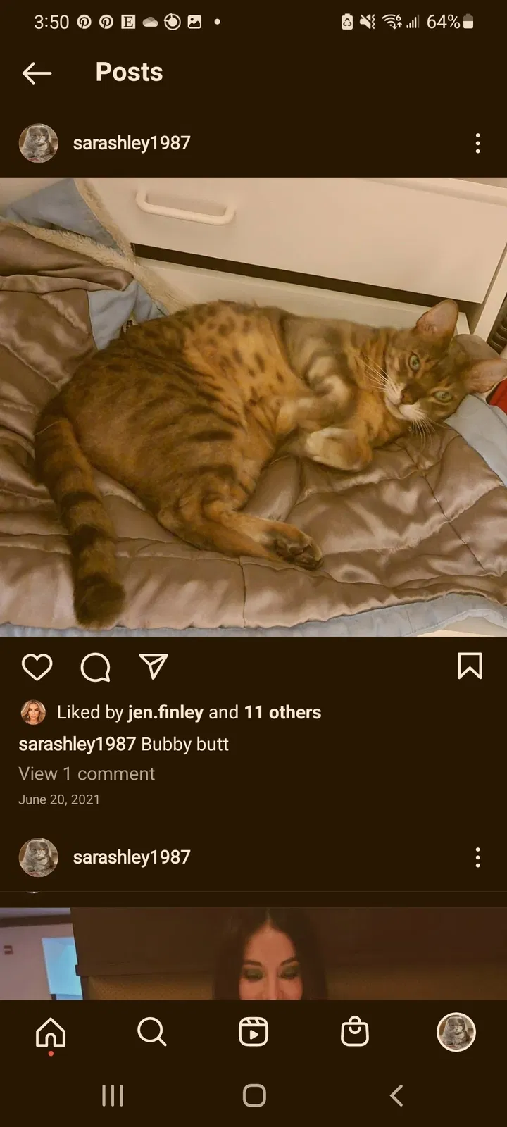 Lost cat in Beaverton, OR, 97007