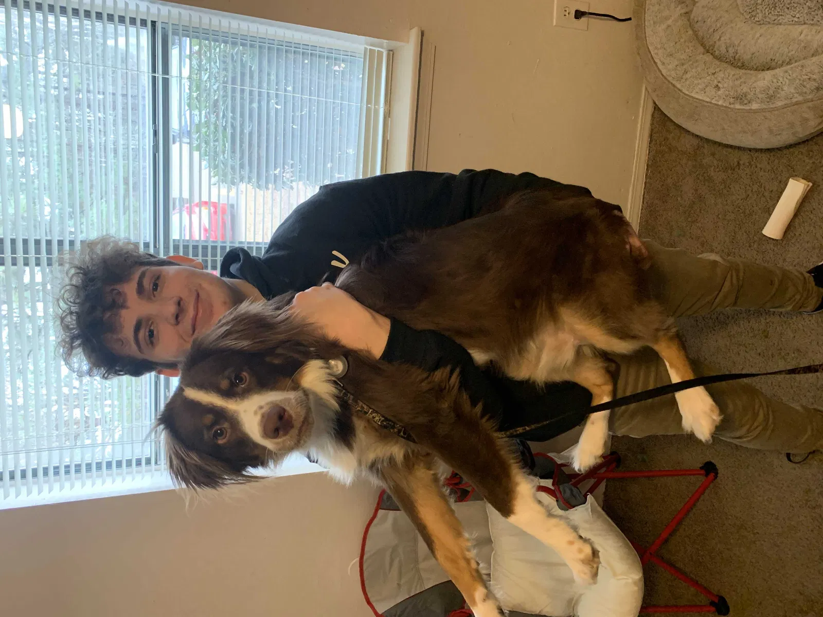 Lost dog in North Little Rock, AR, 72117
