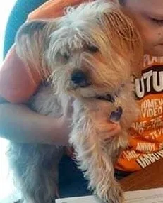 Lost dog in Nampa, ID, 83686