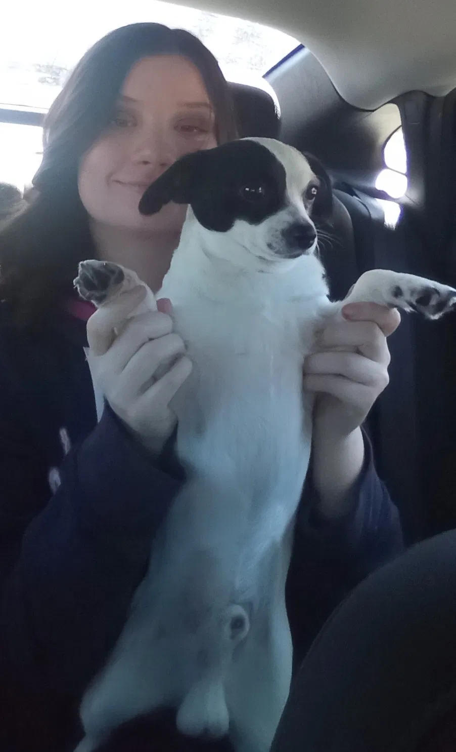 Missing Dog