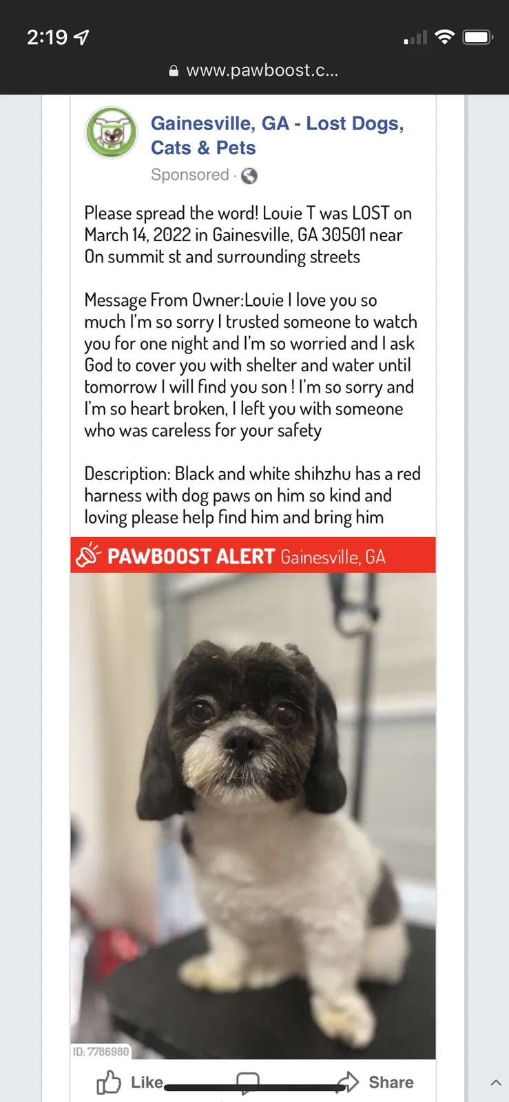 Lost dog in Gainesville, GA, 30501