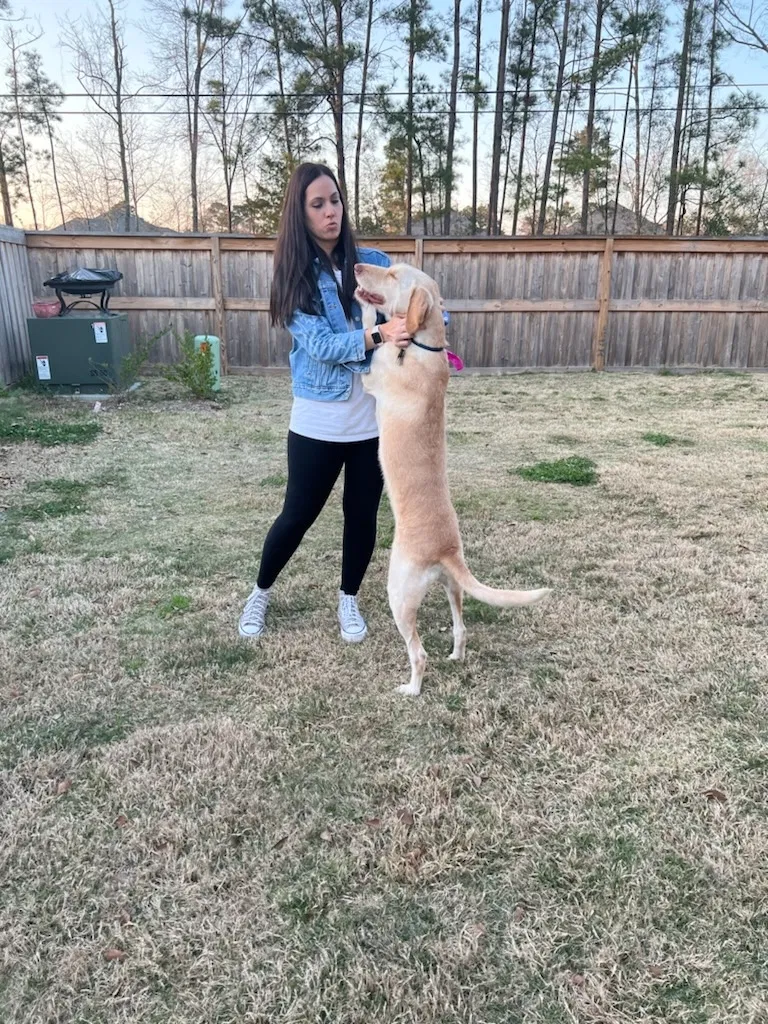 Found dog in Magnolia, TX, 77354
