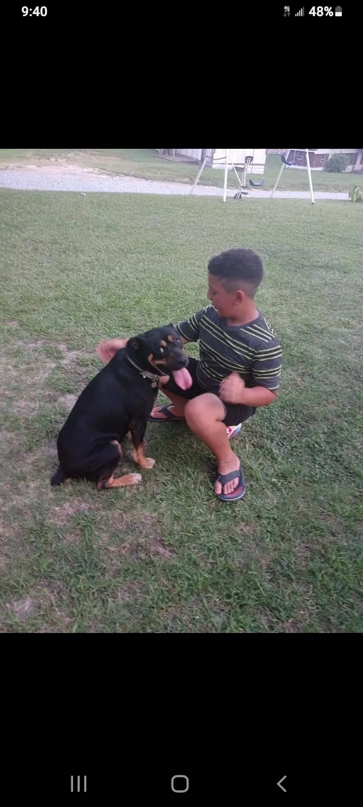 Lost dog in High Point, NC, 27263