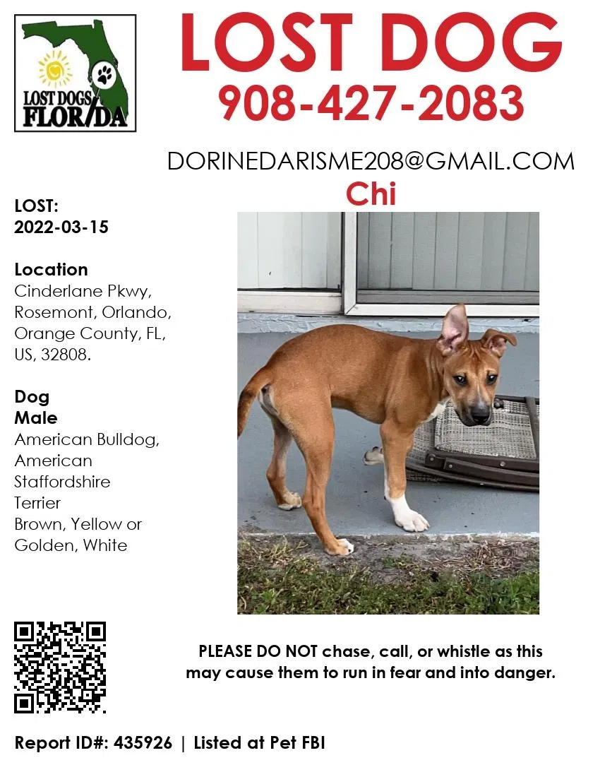 Lost dog in Orlando, FL, 32808