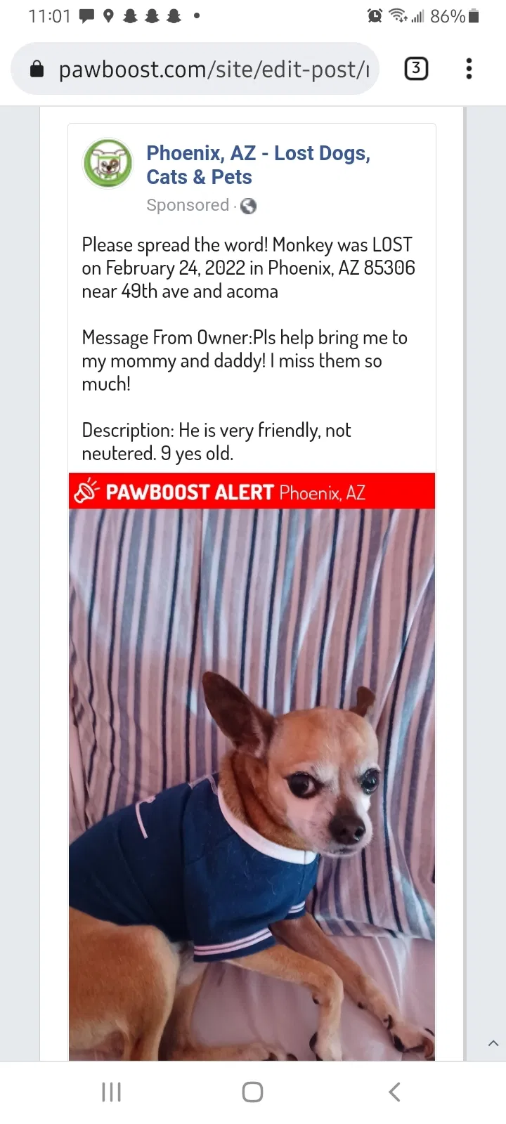 Lost dog in Glendale, AZ, 85306