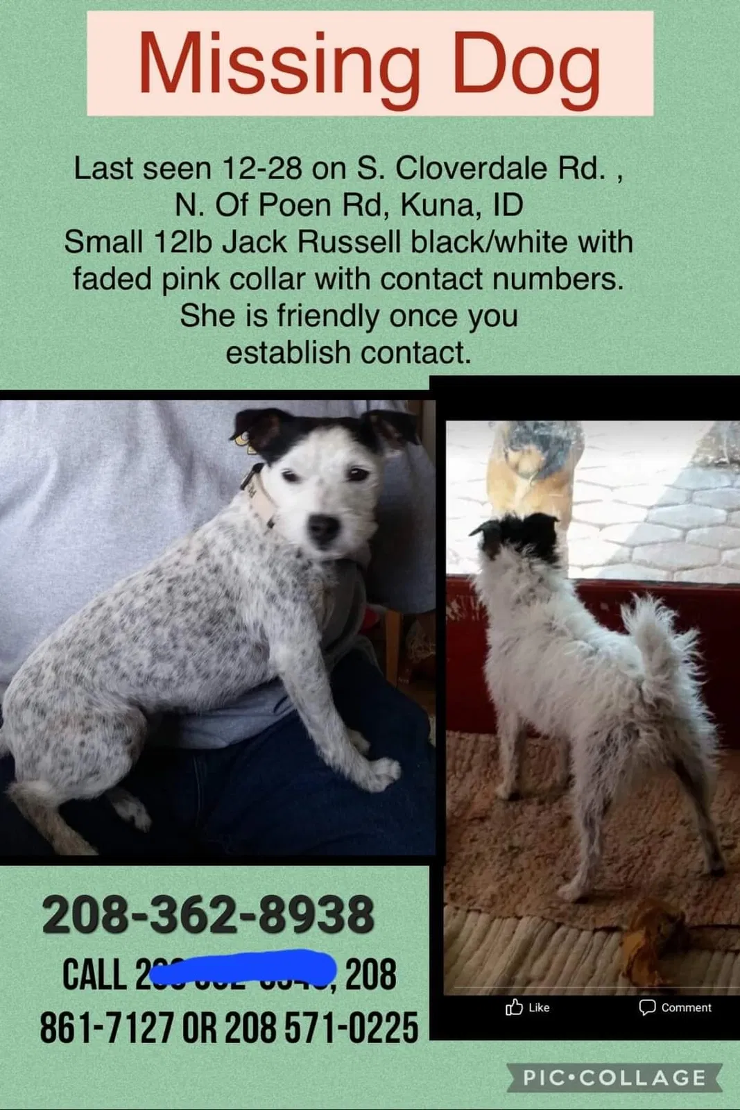 Lost dog in Kuna, ID, 83634