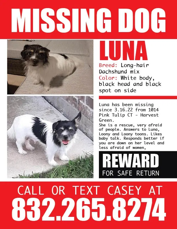 Lost dog in Richmond, TX, 77406