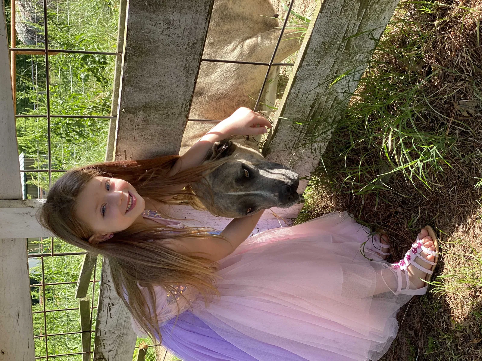 Lost dog in Kemp, TX, 75143