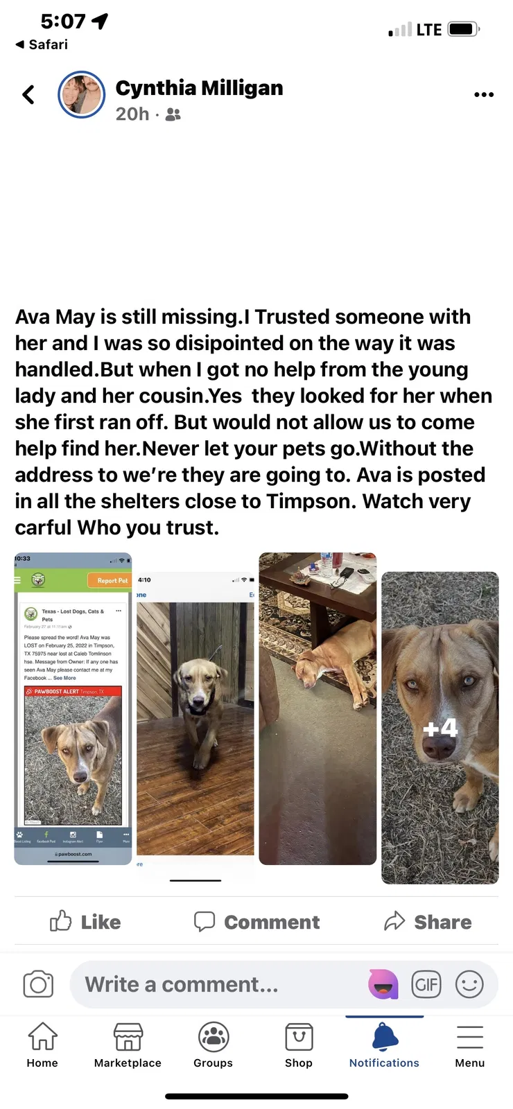 Lost dog in Unknown, TX, 75795