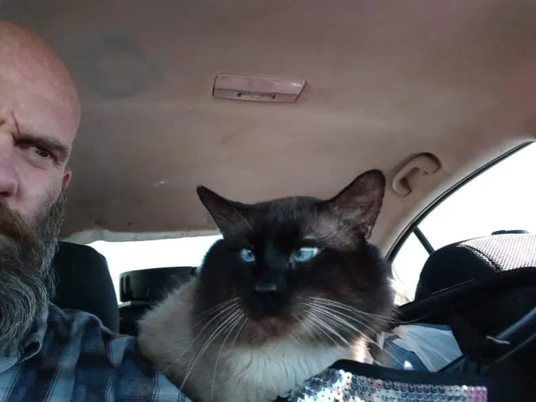 Lost cat in Douglass, KS, 67039