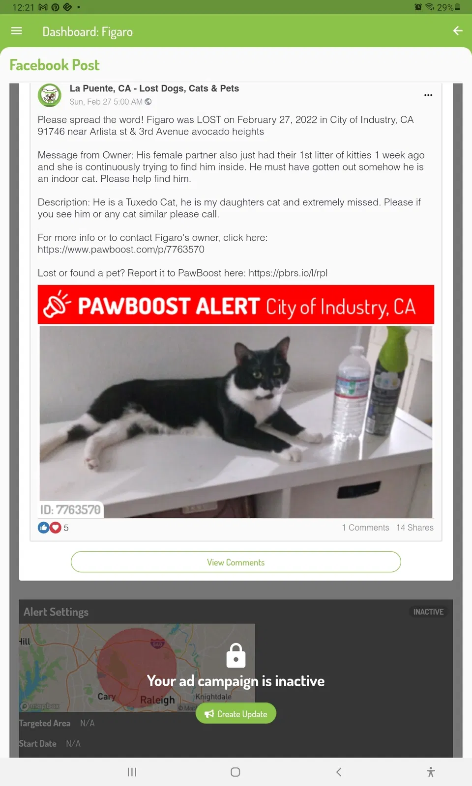 Lost cat in La Puente, CA, 91746