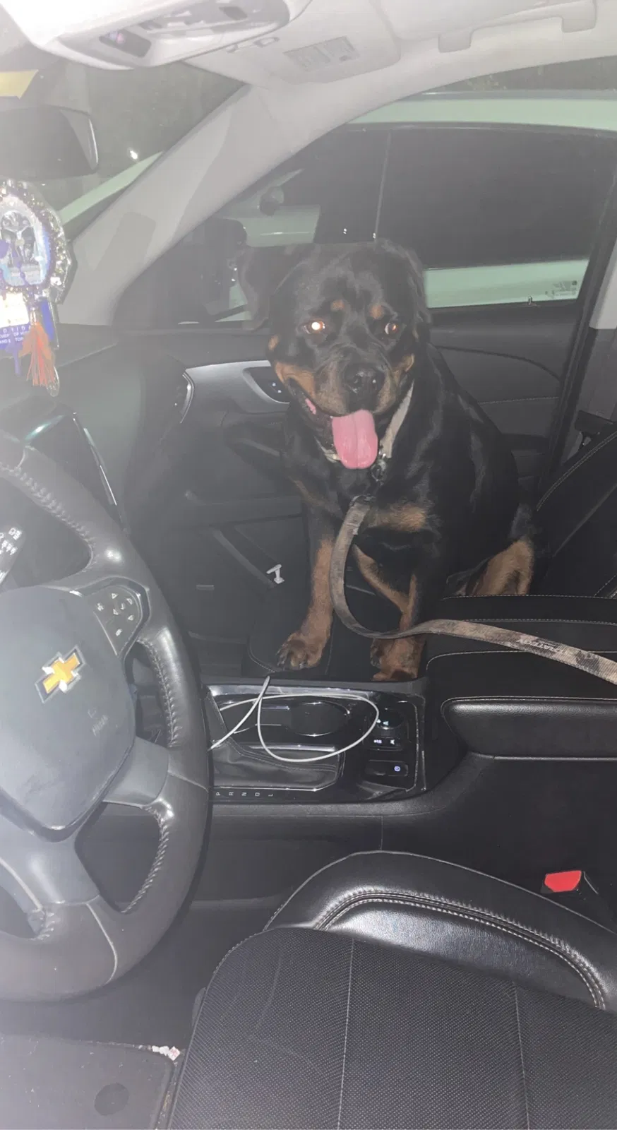 Lost dog in Miami, FL, 33193