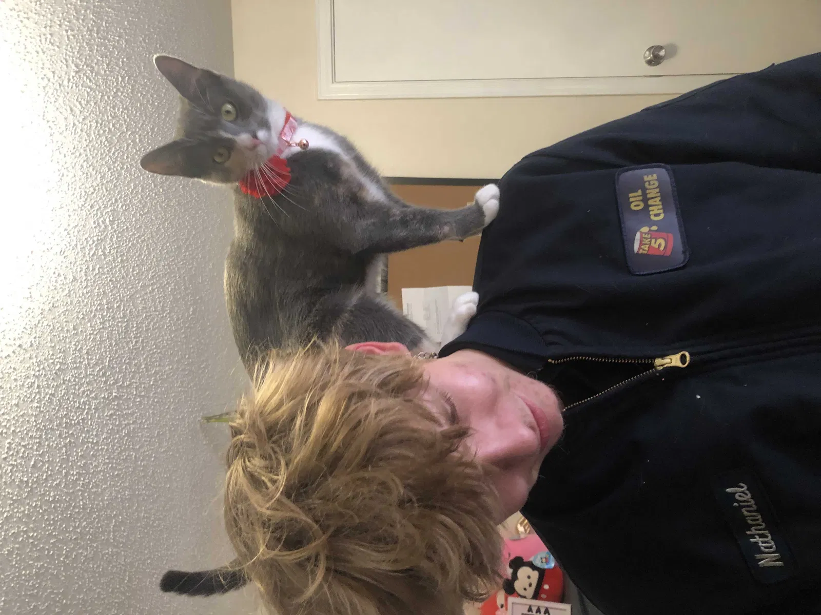Lost cat in Mandeville, LA, 70448
