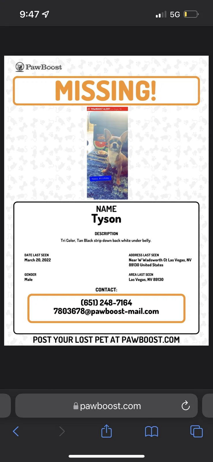 Lost dog in Las Vegas, NV, 89130