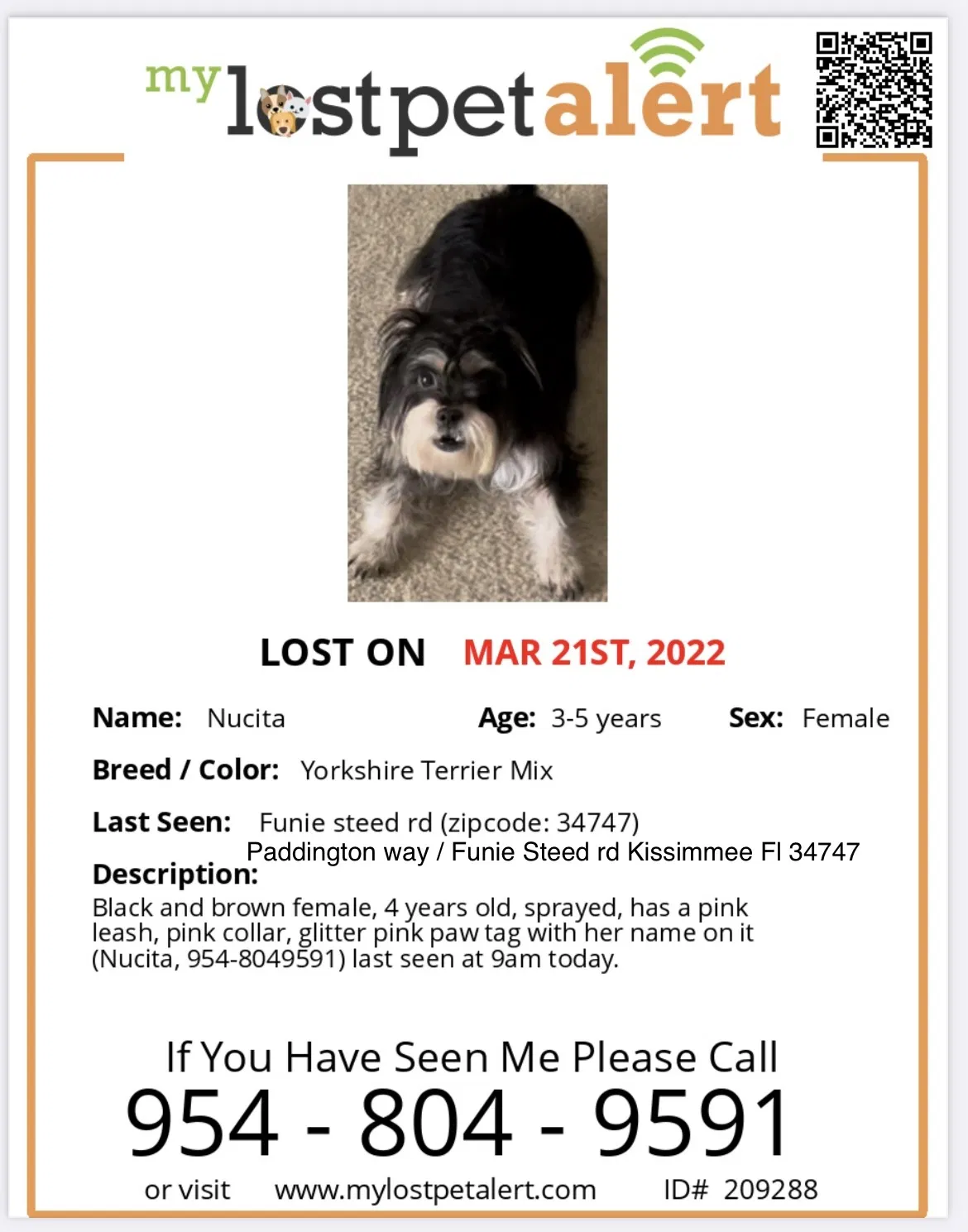 Lost dog in Kissimmee, FL, 34747
