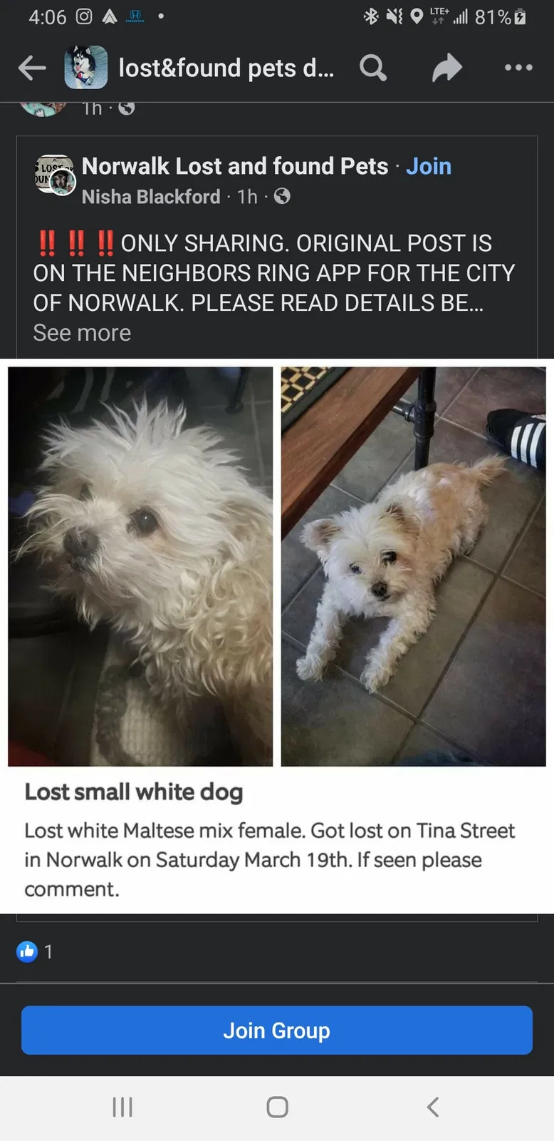 Lost dog in Norwalk, CA, 90650