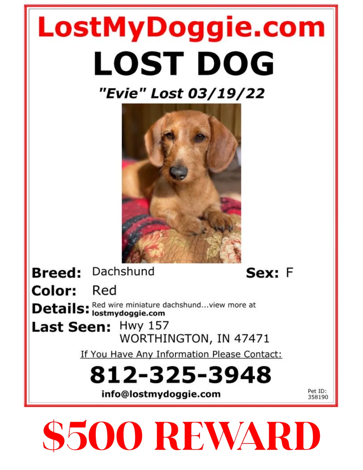 Lost dog in Worthington, IN, 47471