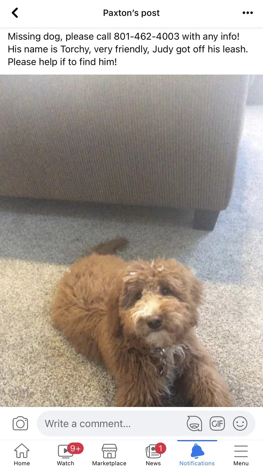 Lost dog in Salt Lake City, UT, 84109