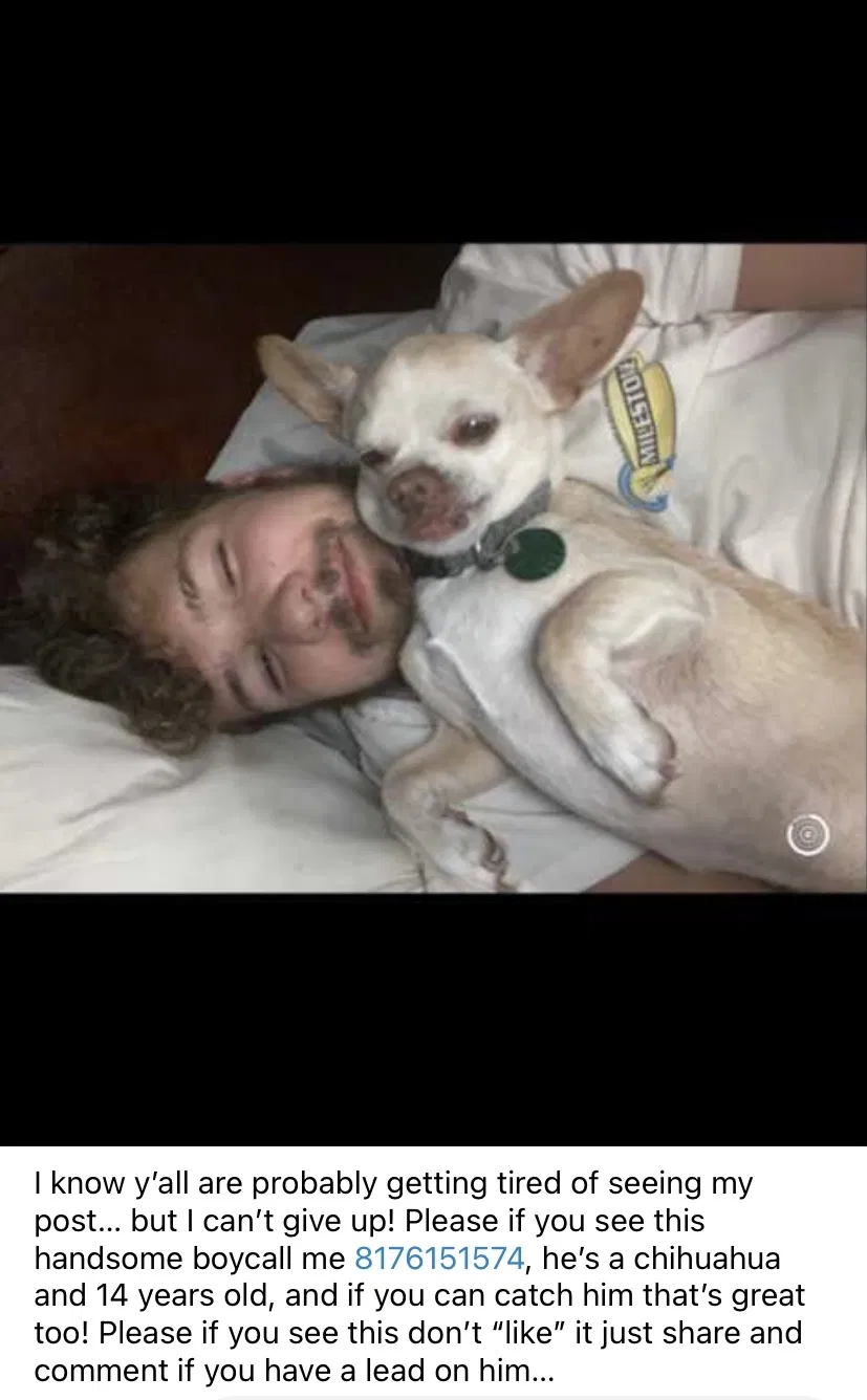 Lost dog in Fort Worth, TX, 76116
