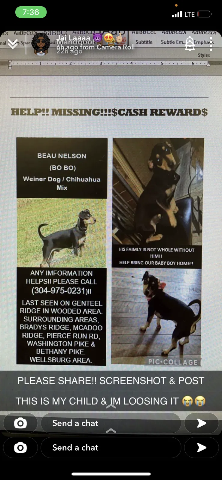 Lost dog in Wellsburg, WV, 26070