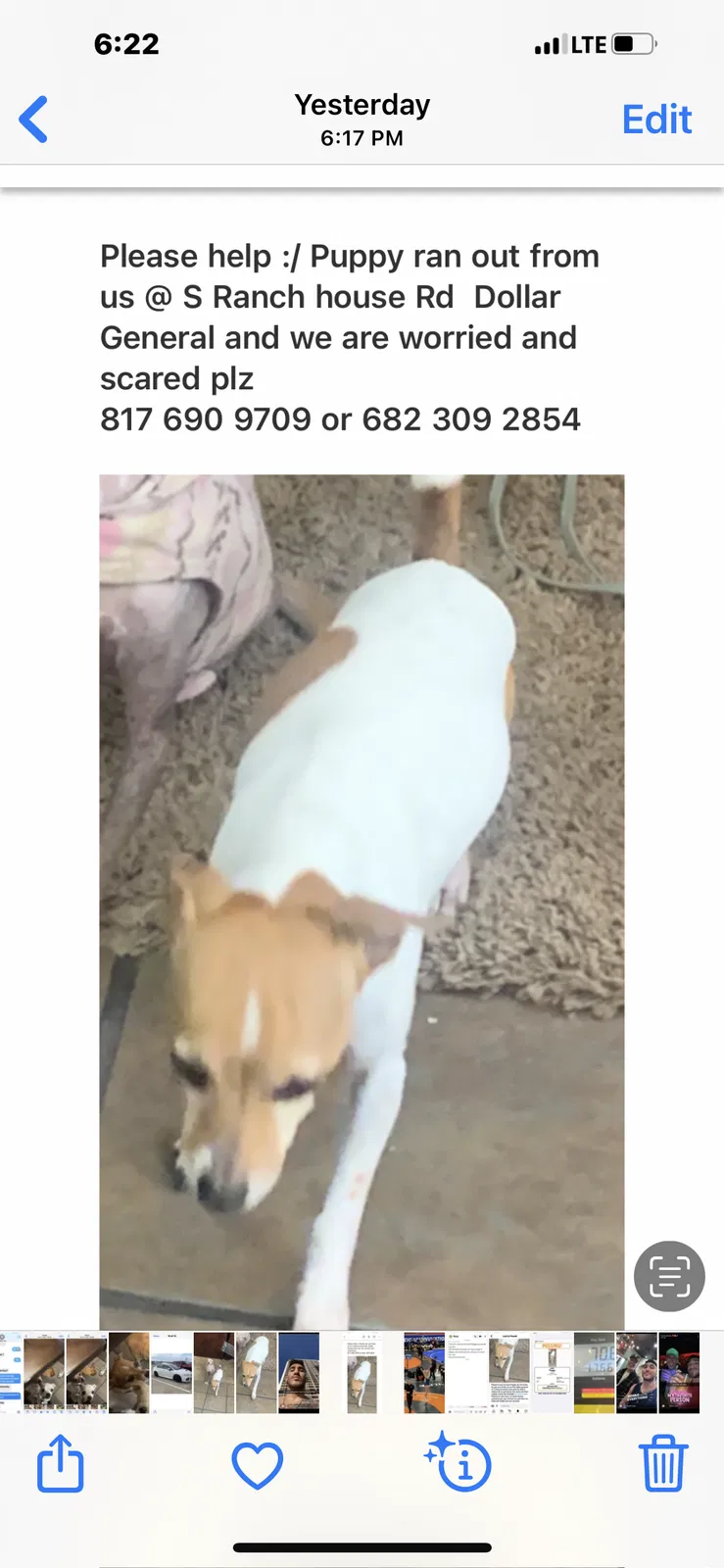 Lost dog in Aledo, TX, 76008