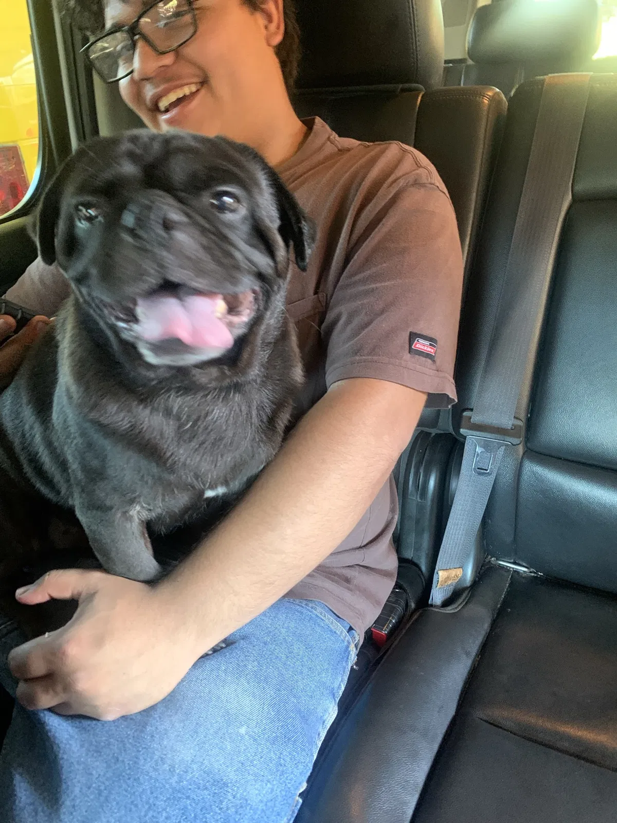 Lost dog in Fort Worth, TX, 76112