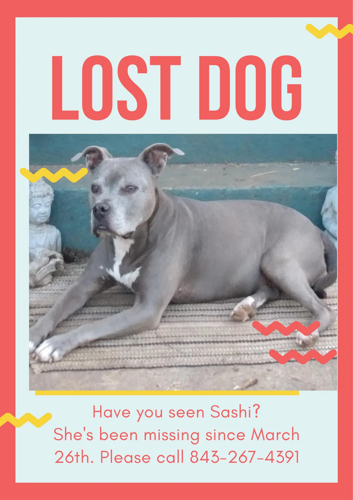 Lost dog in Anderson, SC, 29625