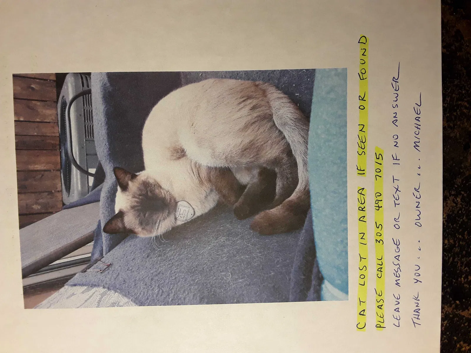 Lost cat in Miami, FL, 33126