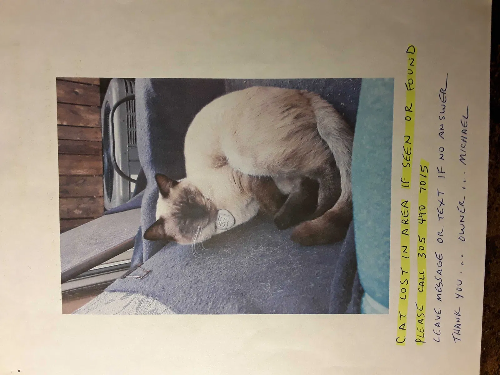 Lost cat in Miami, FL, 33126