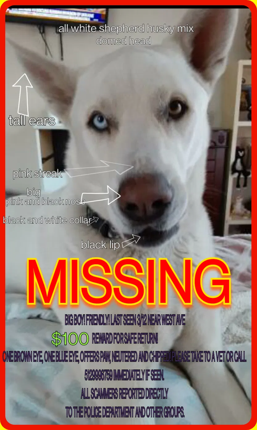 Lost dog in Unknown, TX, 73213