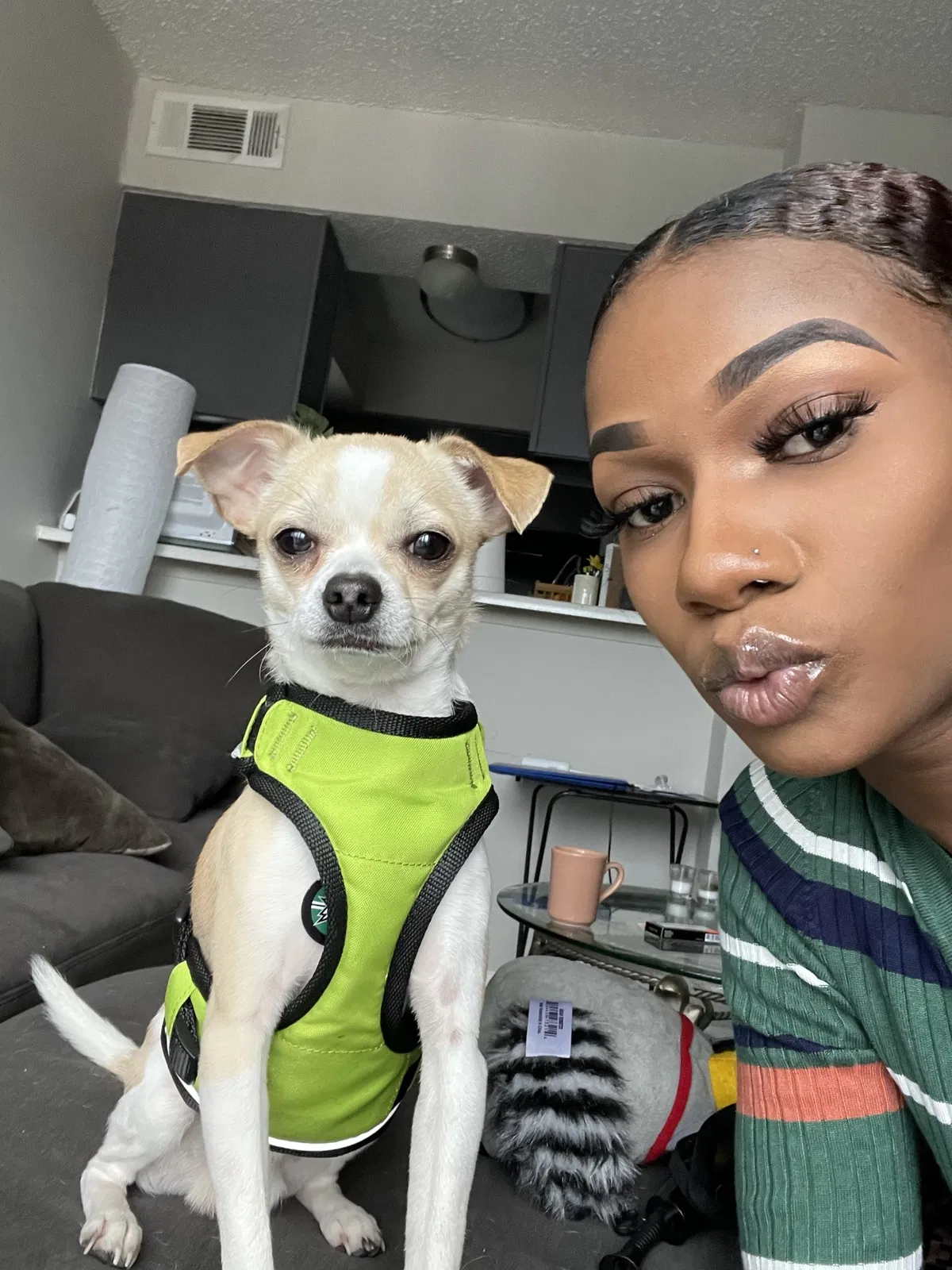 Lost dog in Dallas, TX, 75228