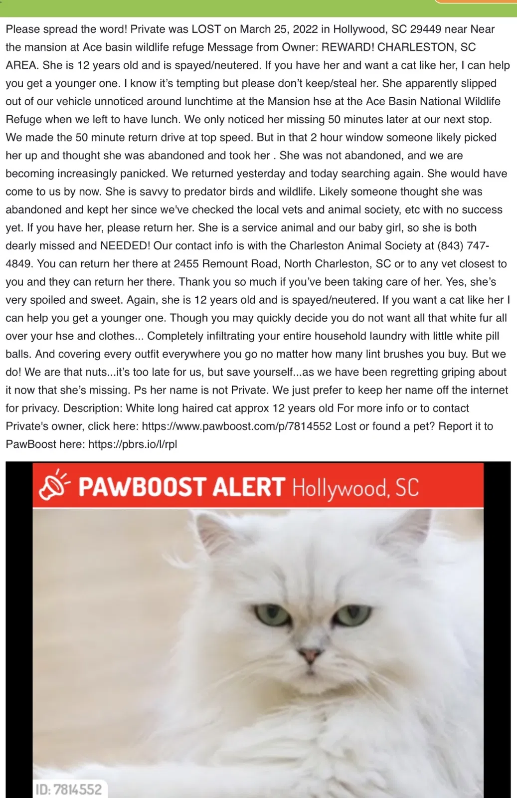 Lost cat in Hollywood, SC, 29449