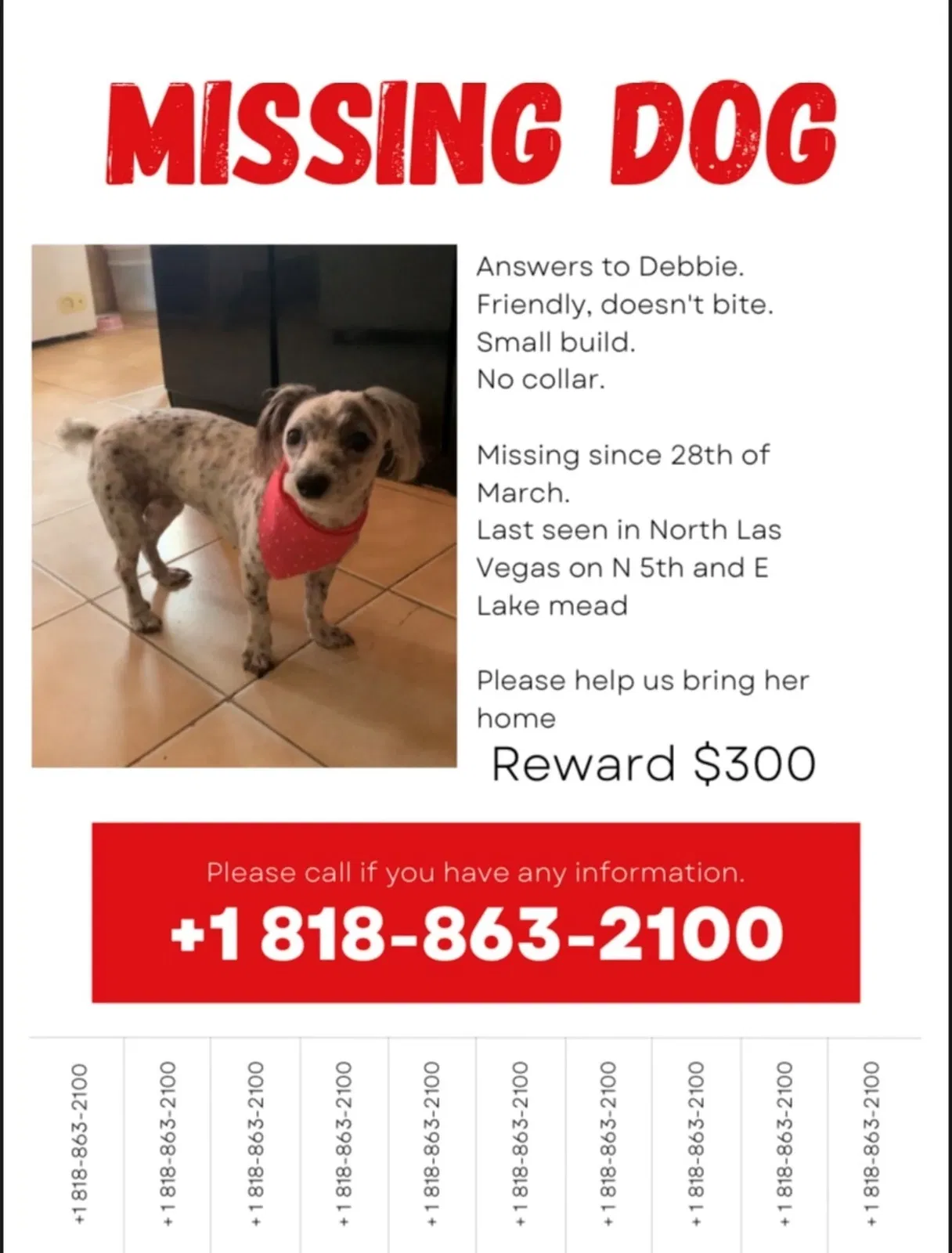 Lost dog in North Las Vegas, NV, 89030
